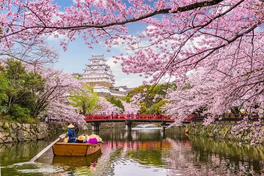 Khám phá xứ sở hoa anh đào - Du lịch Nhật Bản cùng ATT Nhân Lực